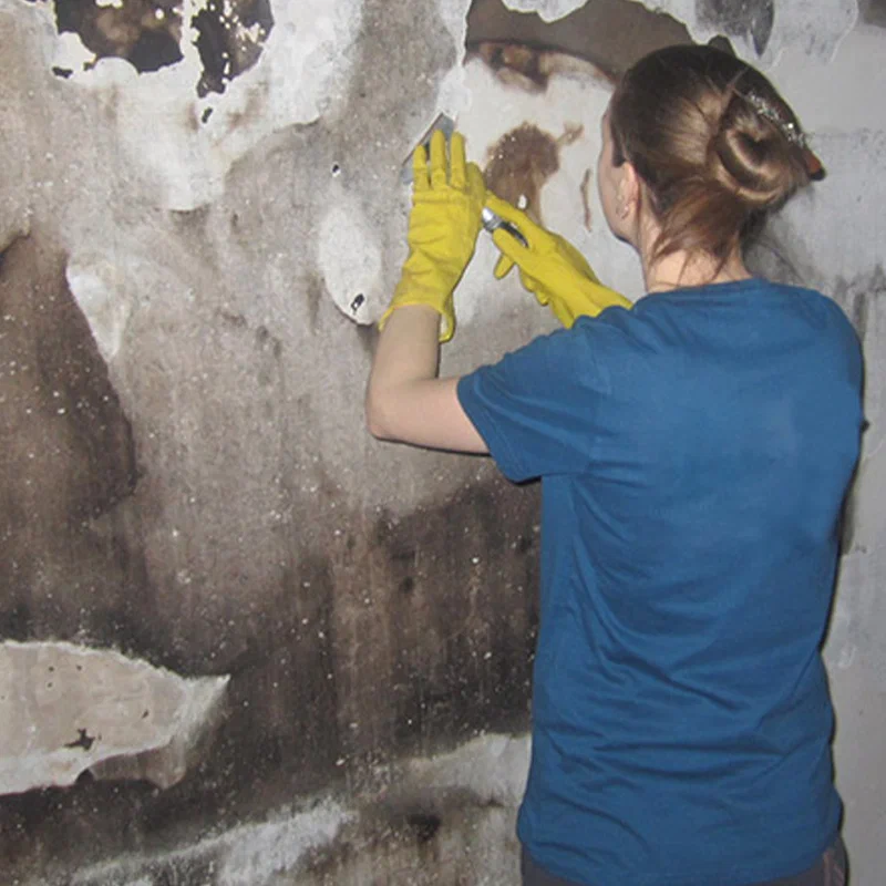 Smoke Damage Restoration Bellevue