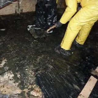 Flood Damage Cleanup Bellevue