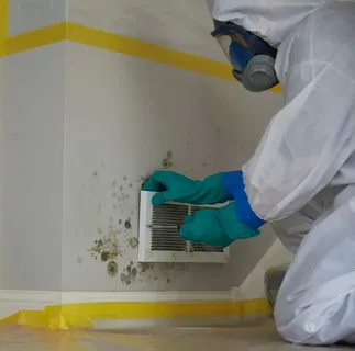 Mold Removal and Remediation