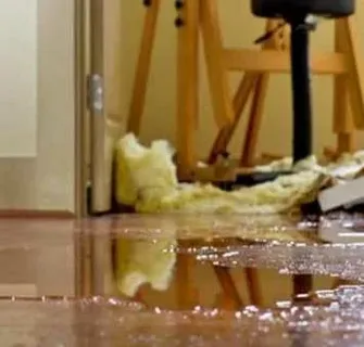 Storm Damage Restoration Bellevue