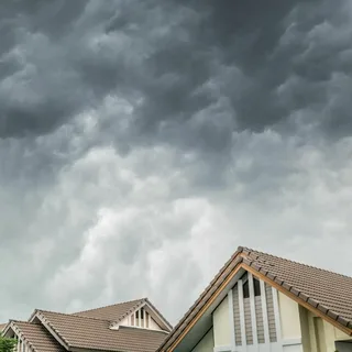 Professional Storm Damage Restoration Bellevue