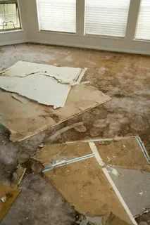 Professional Water Damage and Removal Services