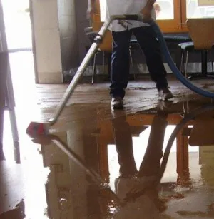 Water Damage Removal Services in Bellevue