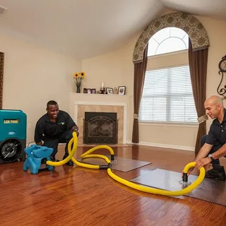 water Extraction and removal Bellevue